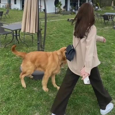灵幻至尊